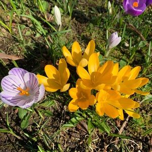 Meet your Posher, Emma